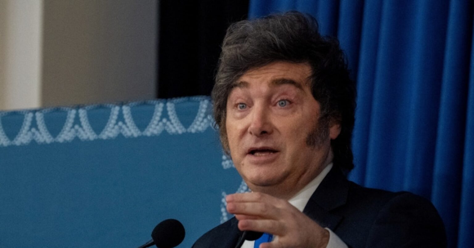 アルゼンチン政府、選挙改革法案を議会へ提出　予備選廃止で費用削減 | ロイター