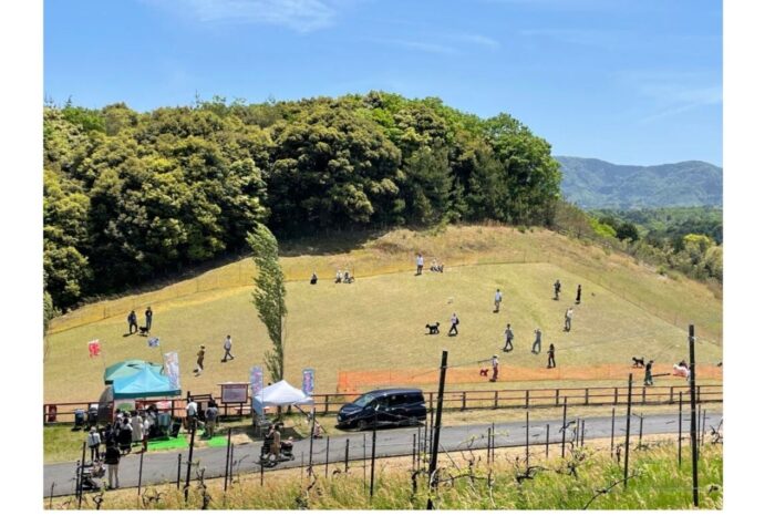 丹後王国ドッグランフェスタ