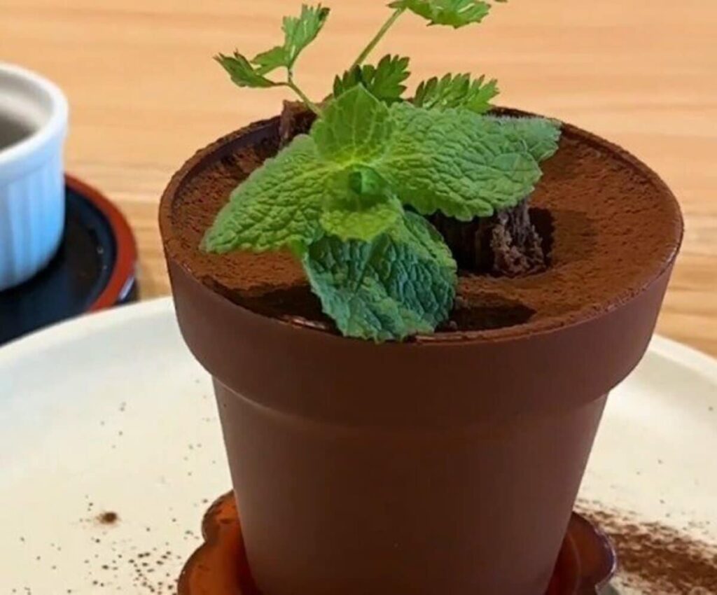 埼玉県の道の駅で話題の「鉢植えティラミス」！掘って食べる新感覚スイーツに「かわいすぎる」「ふわっふわ」 | LIMO | くらしとお金の経済メディア