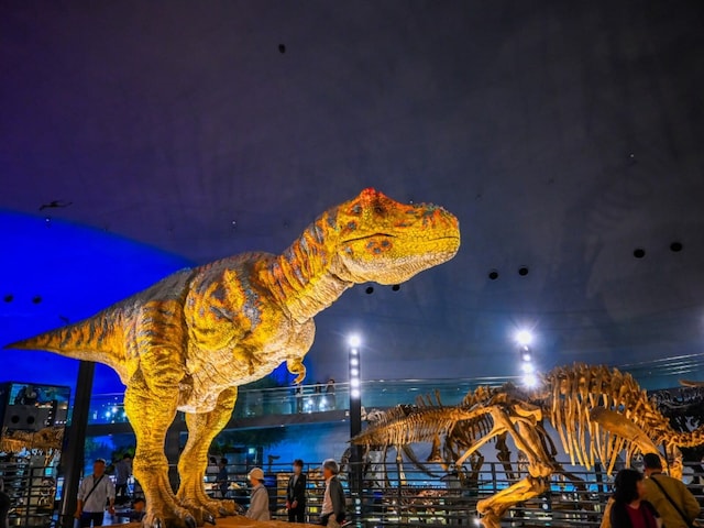 春に行きたいと思う「福井県の旅行先」ランキング！ 2位「福井県立恐竜博物館」を抑えた1位は？【2026年調査】