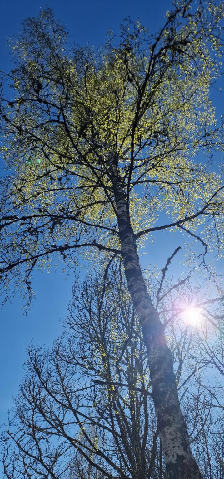 人生への熱意が戻ってきたと感じますか?