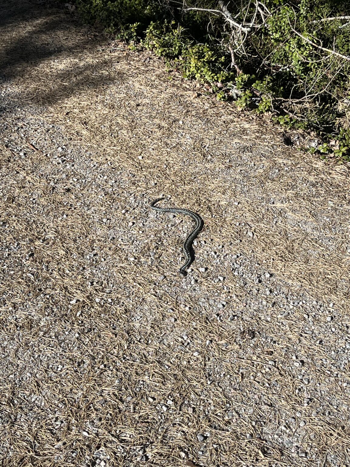 このトレンドを続けていきましょう