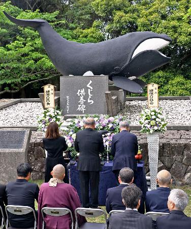 クジラの恵みに感謝、和歌山 太地町で供養祭 | 全国のニュース | 福井新聞ONLINE