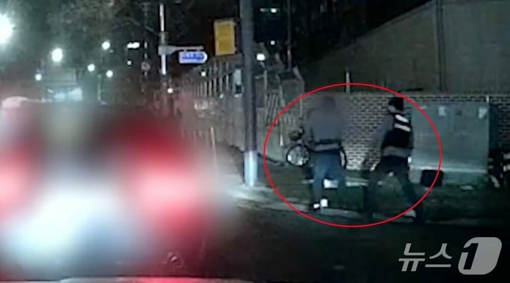 逆走したうえに警察官に殴り、暴言…韓国・血中アルコール濃度0.183％、泥酔運転60代男の暴走　写真枚　国際ニュース：AFPBB News