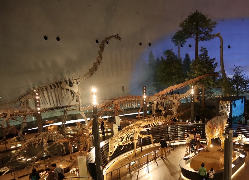 繁忙期の渋滞対策…福井県立恐竜博物館への無料シャトルバス運行　利用者に特典あり、5月2日から新パークアンドライド | 社会,催し・文化,政治・行政 | 福井のニュース