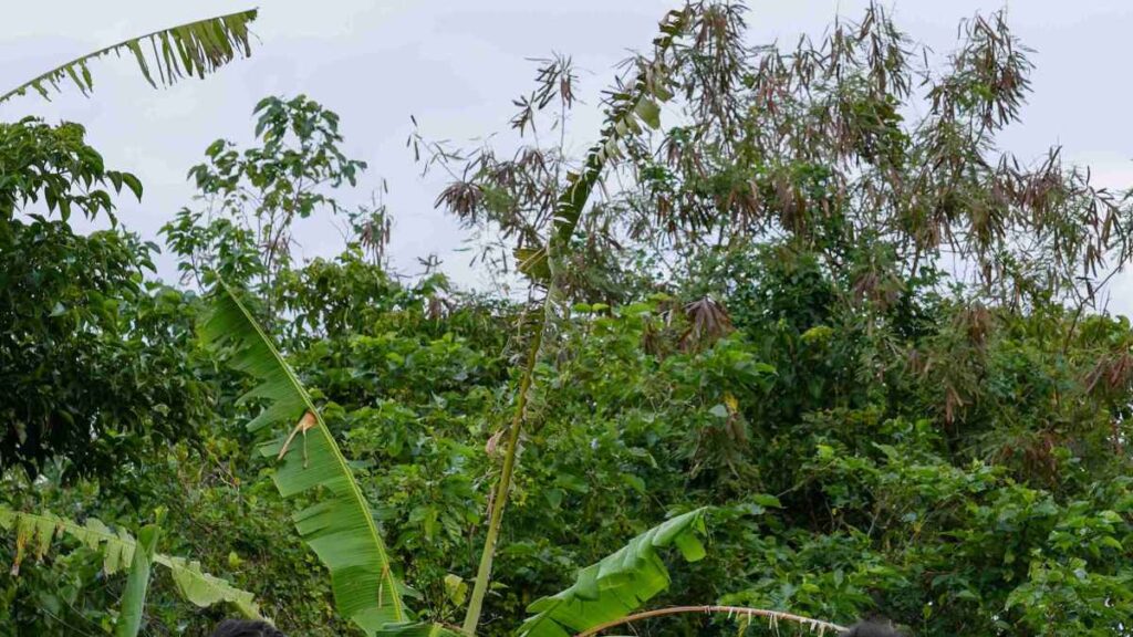 2026SS motokitanaka mesotes exhibition｜お出かけ情報｜熊本日日新聞社