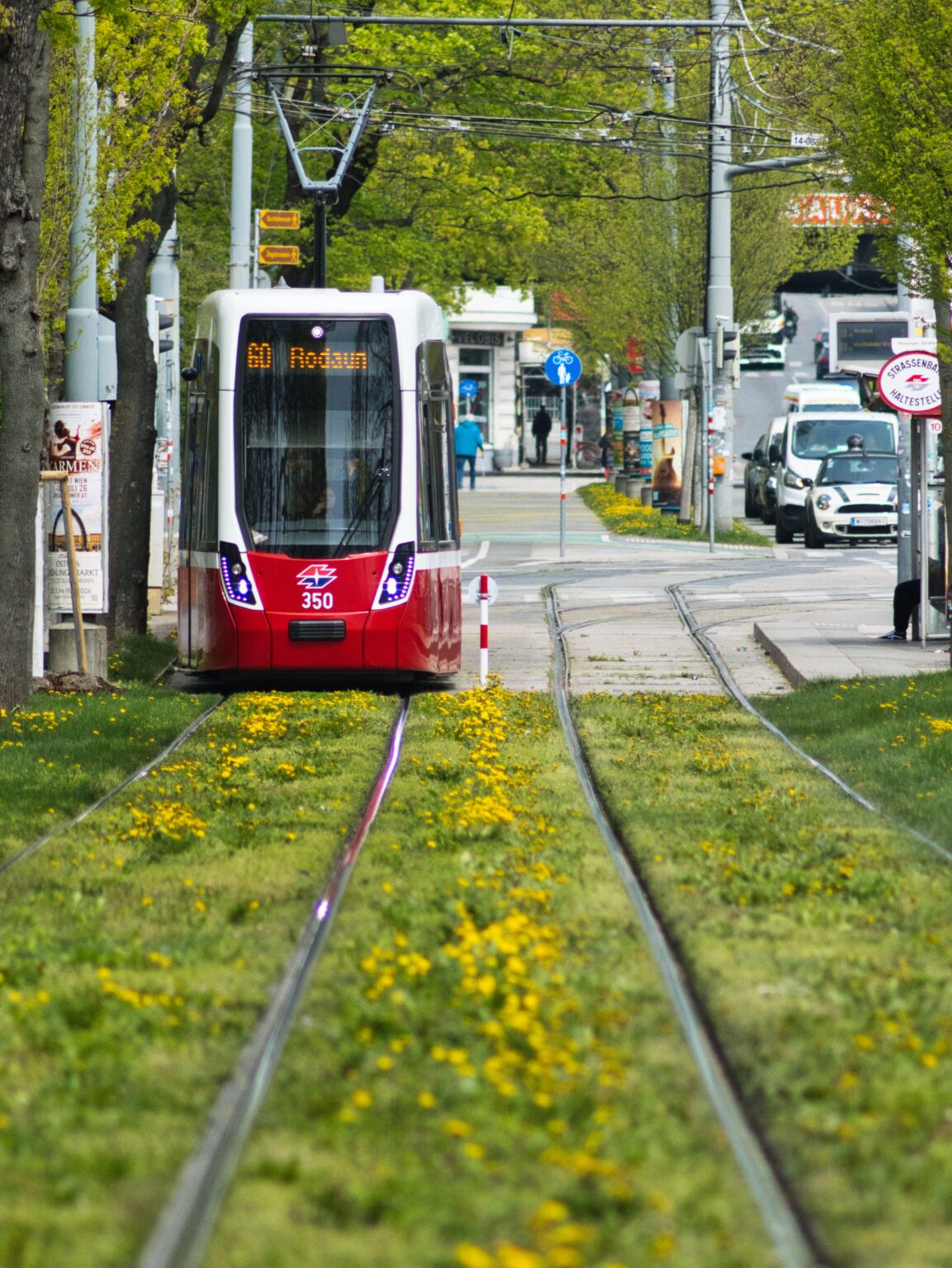 Flexity は、外見も内面も本当に最悪です