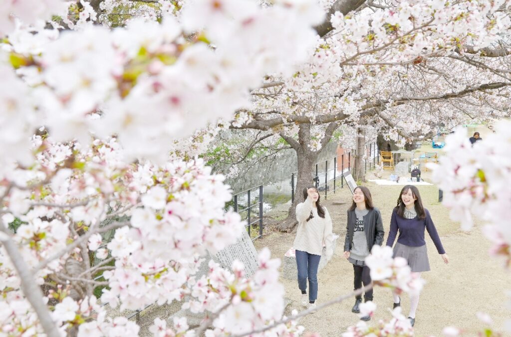 【さくら新聞2026】大分城址公園（大分市） - 大分のニュースなら 大分合同新聞プレミアムオンライン Gate