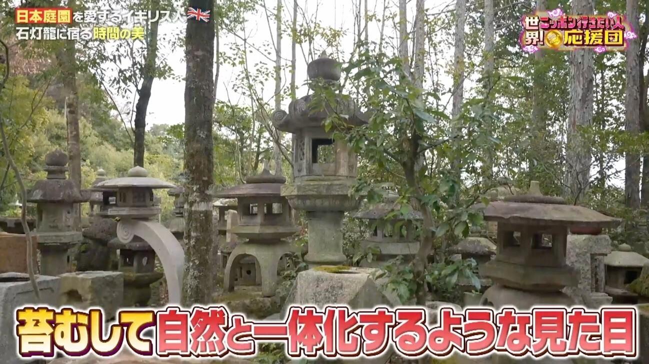 本物の日本庭園づくりに挑戦！イギリス男性が京都の庭師に職人技を学ぶ：世界！ニッポン行きたい人応援団