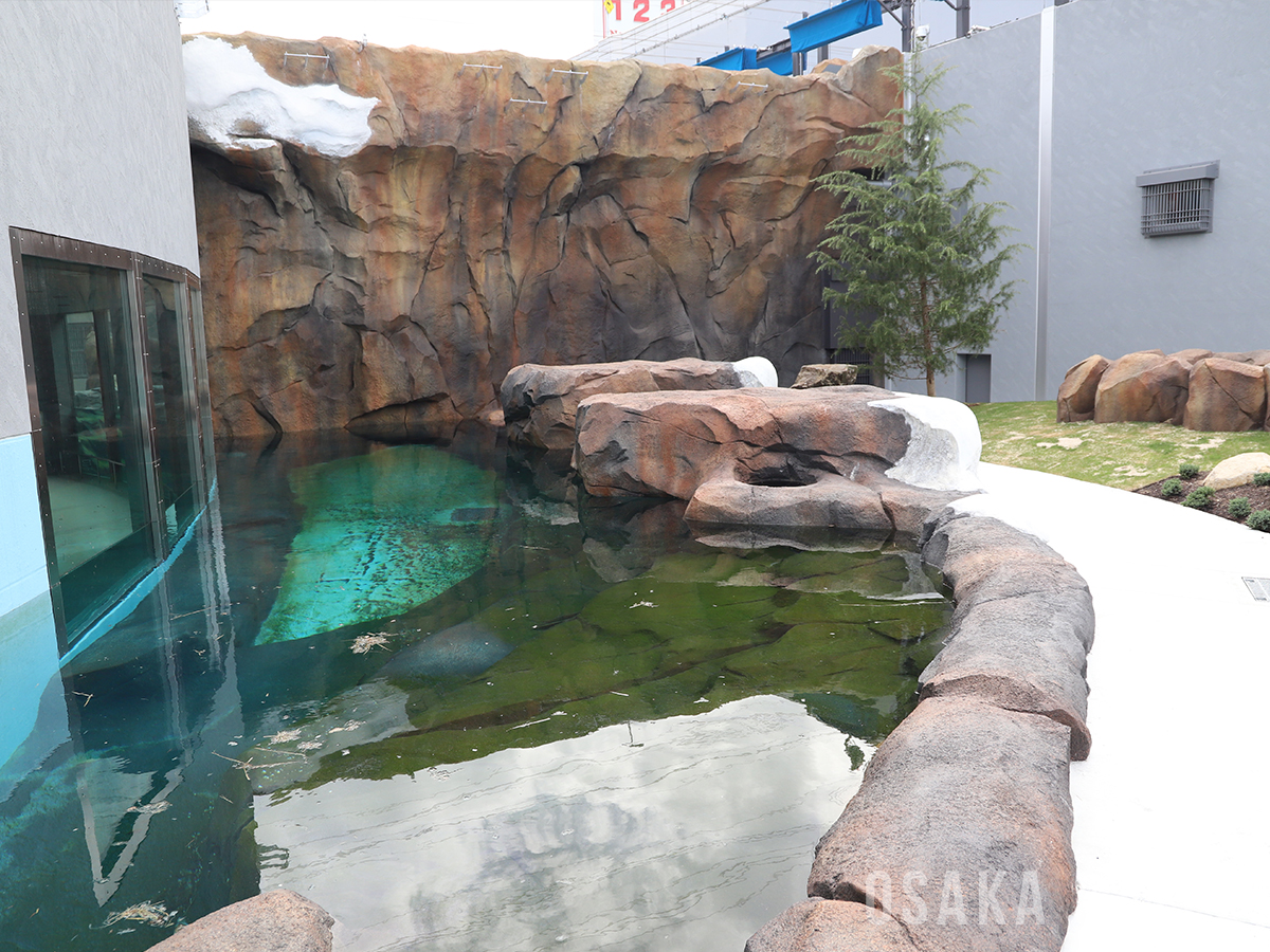 「ポーラーベアコースト」の飼育場