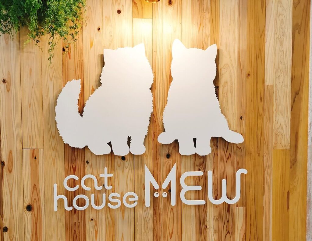【開店】猫カフェ「cat house MEW」がオープンしたよ | ジモシル宮崎