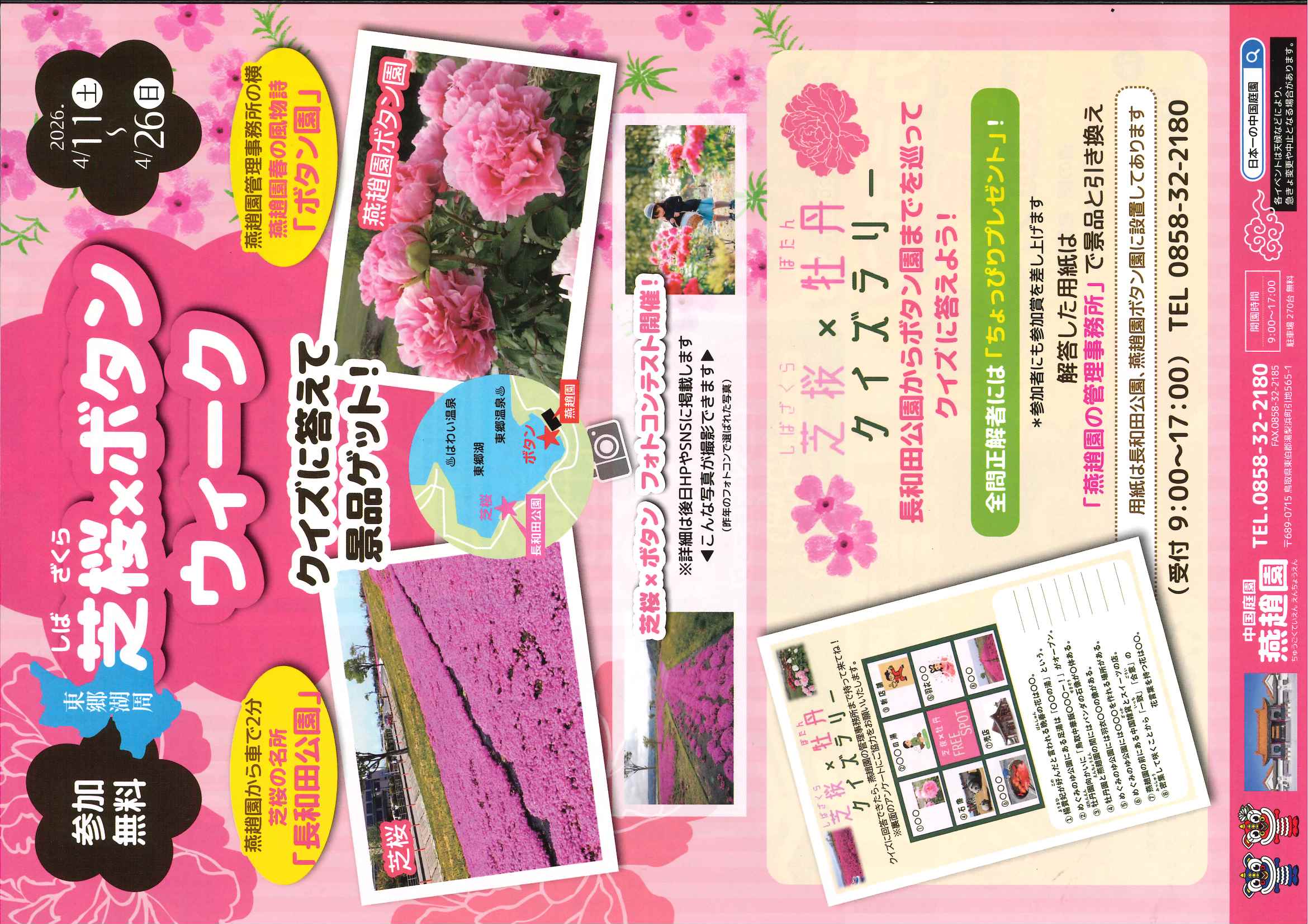 芝桜×ボタン ウィーク