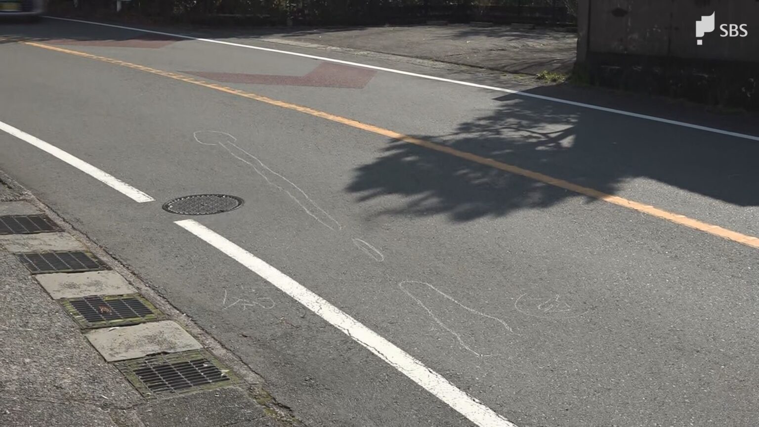 道路を横断中の女性が車にはねられ死亡 過失運転傷害とひき逃げの疑いで60代の男を逮捕=静岡・伊豆市【続報】（静岡放送（SBS）） - Yahoo!ニュース