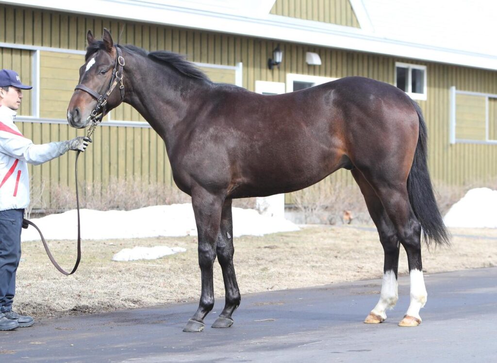 ジプシーハイウェイの24