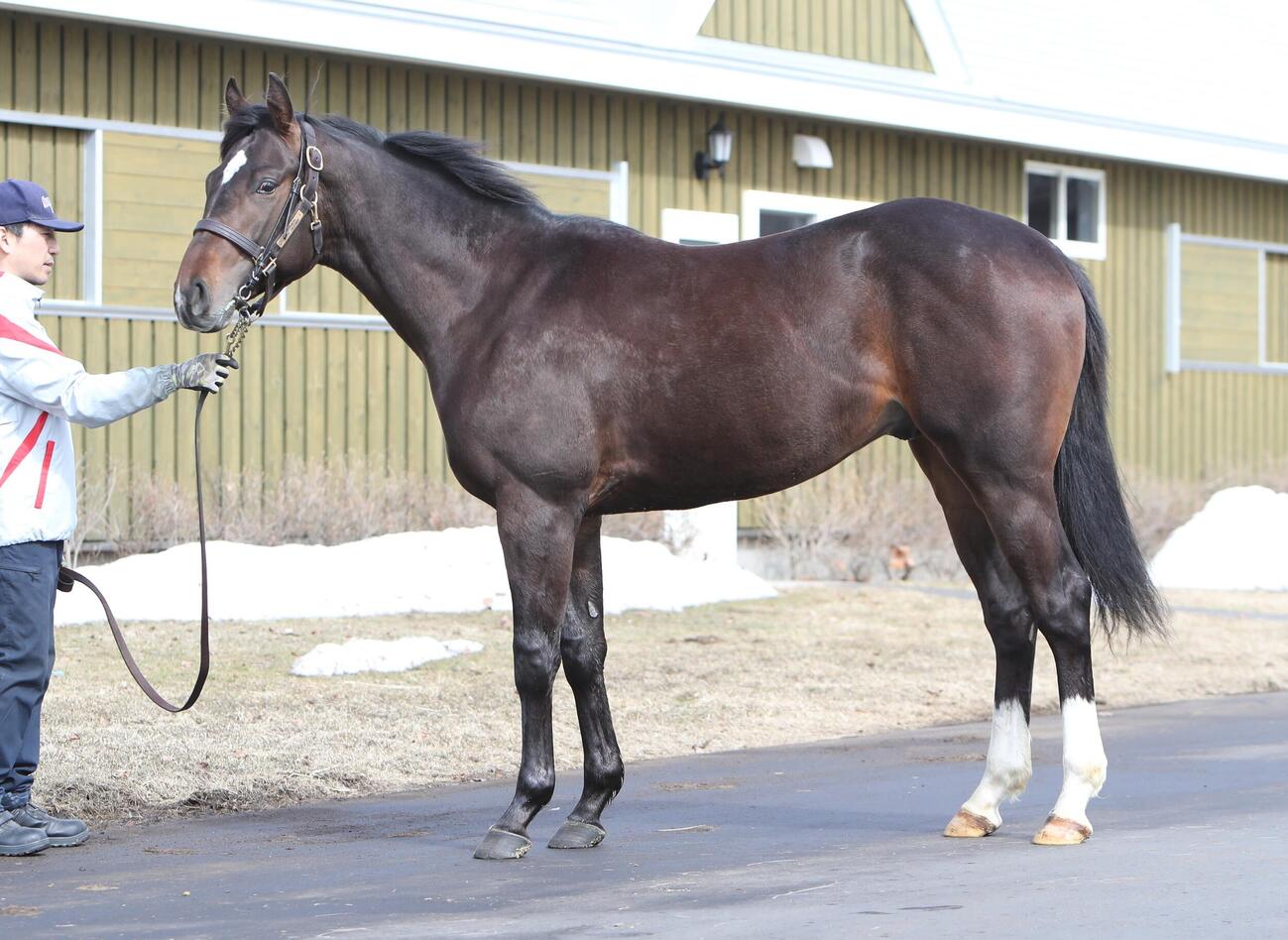 ジプシーハイウェイの24