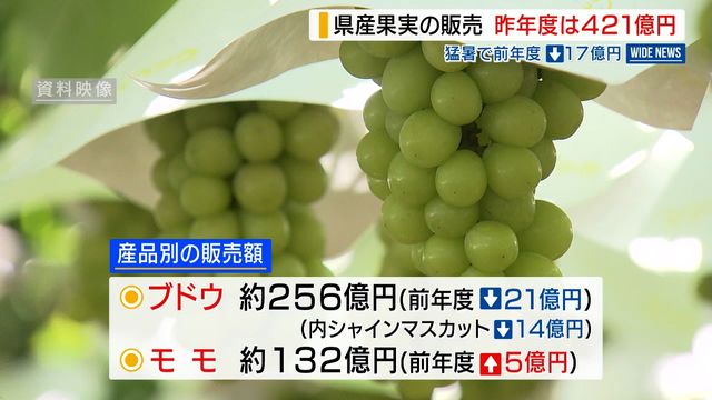 シャインマスカットが大幅減 昨年度の県産果実の販売総額 猛暑の影響で17億円減 山梨(YBS山梨放送) – Yahoo!ニュース シャインマスカットが大幅減 昨年度の県産果実の販売総額 猛暑の影響で17億円減 山梨(YBS山梨放送) - Yahoo!ニュース