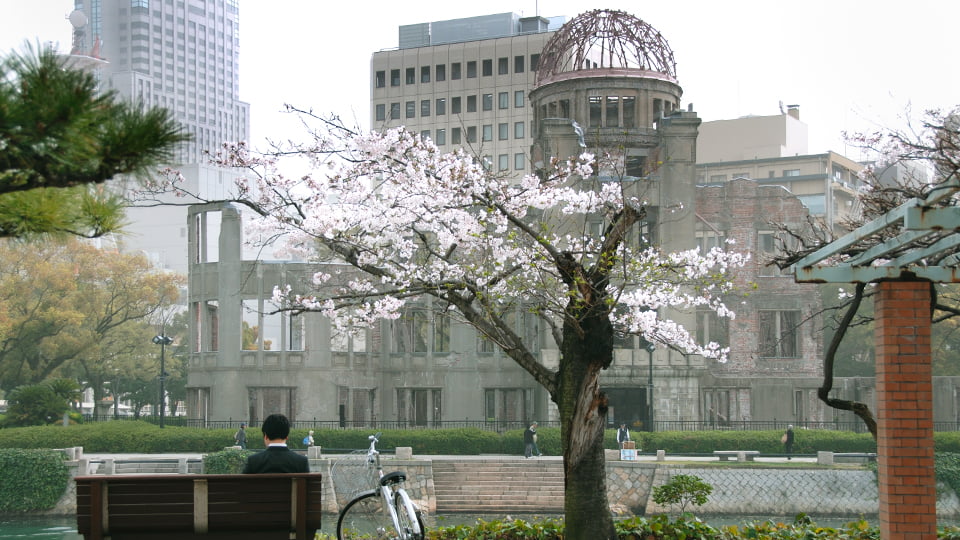 原爆ドームと桜