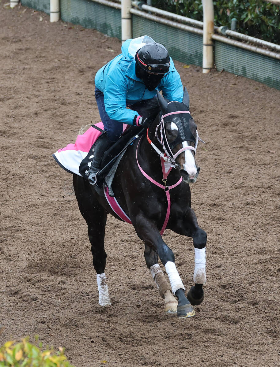 小宮記者が注目するレザベーション