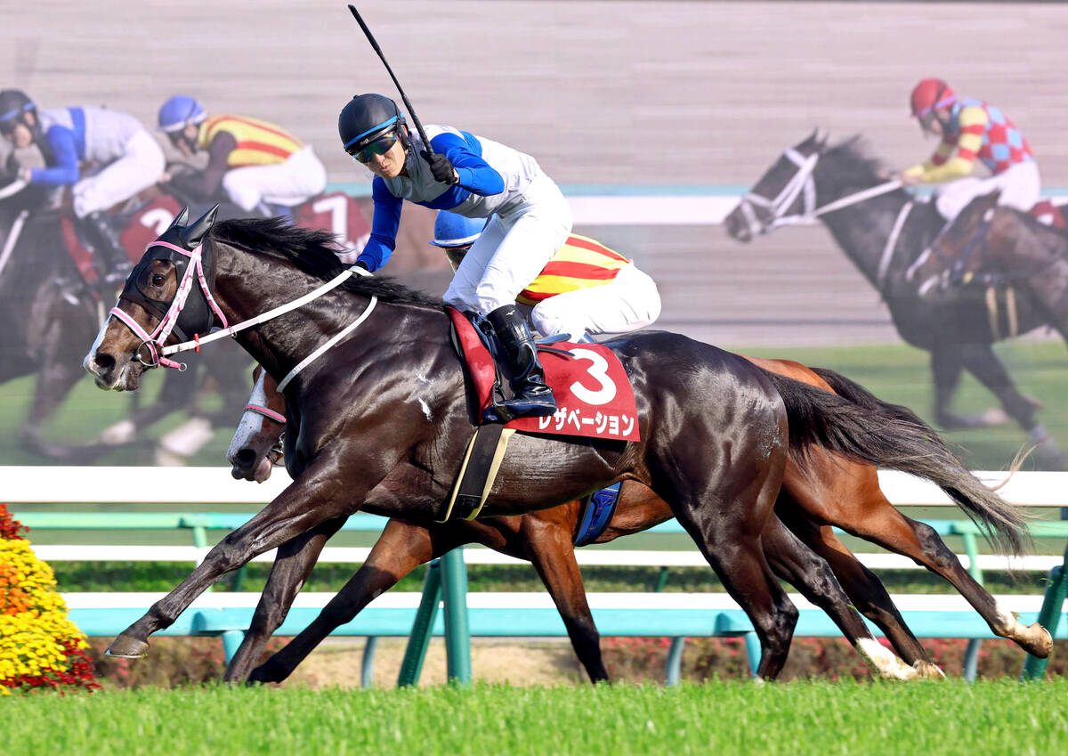 ニュージーランドトロフィーを制したレザベーション（手前）（カメラ・荒牧　徹）