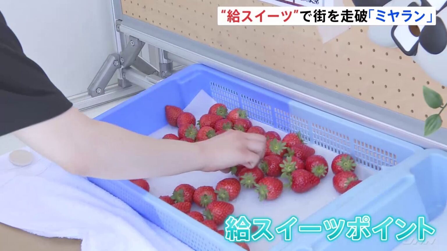 スイーツ味わいながらランニング「ミヤラン」開催 「給水ポイント」ならぬ「給スイーツポイント」あんず棒やさくら杏仁豆腐など冷えたスイーツ多数用意　栃木・宇都宮市（TBS NEWS DIG Powered by JNN）