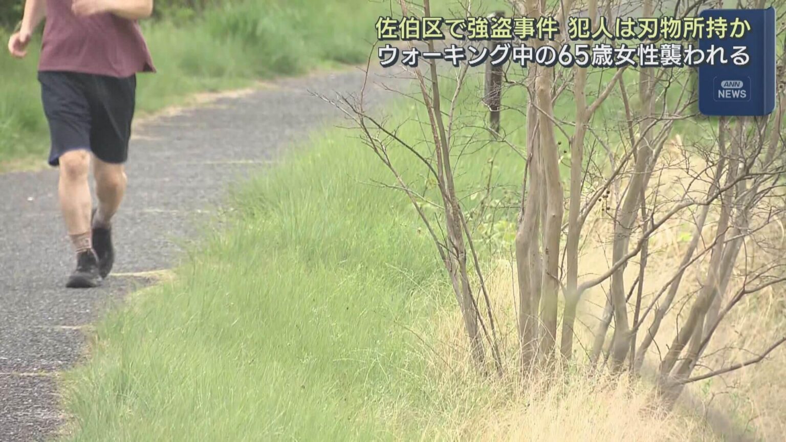 ウォーキング中に引き倒され…広島・佐伯区で強盗事件 犯人は刃物所持か(HOME広島ホームテレビ) – Yahoo!ニュース ウォーキング中に引き倒され...広島・佐伯区で強盗事件 犯人は刃物所持か(HOME広島ホームテレビ) - Yahoo!ニュース