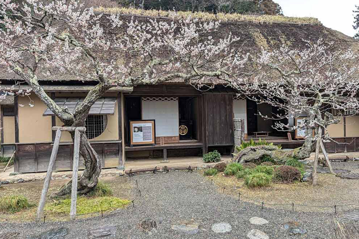 水戸黄門ゆかりの地、袋田の滝、海鮮… 茨城県の魅力をプレゼン！ 「Google Pixel プロダクトスペシャリスト」と巡る観光スポット