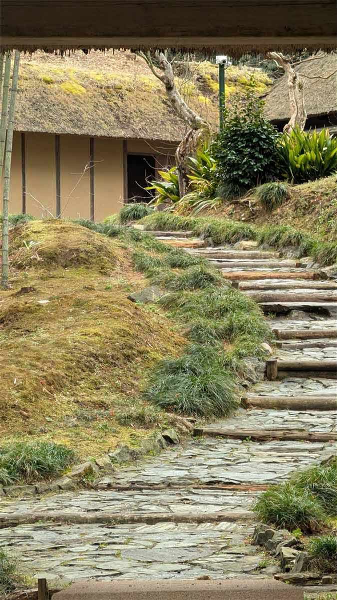 カメラコーチを使用