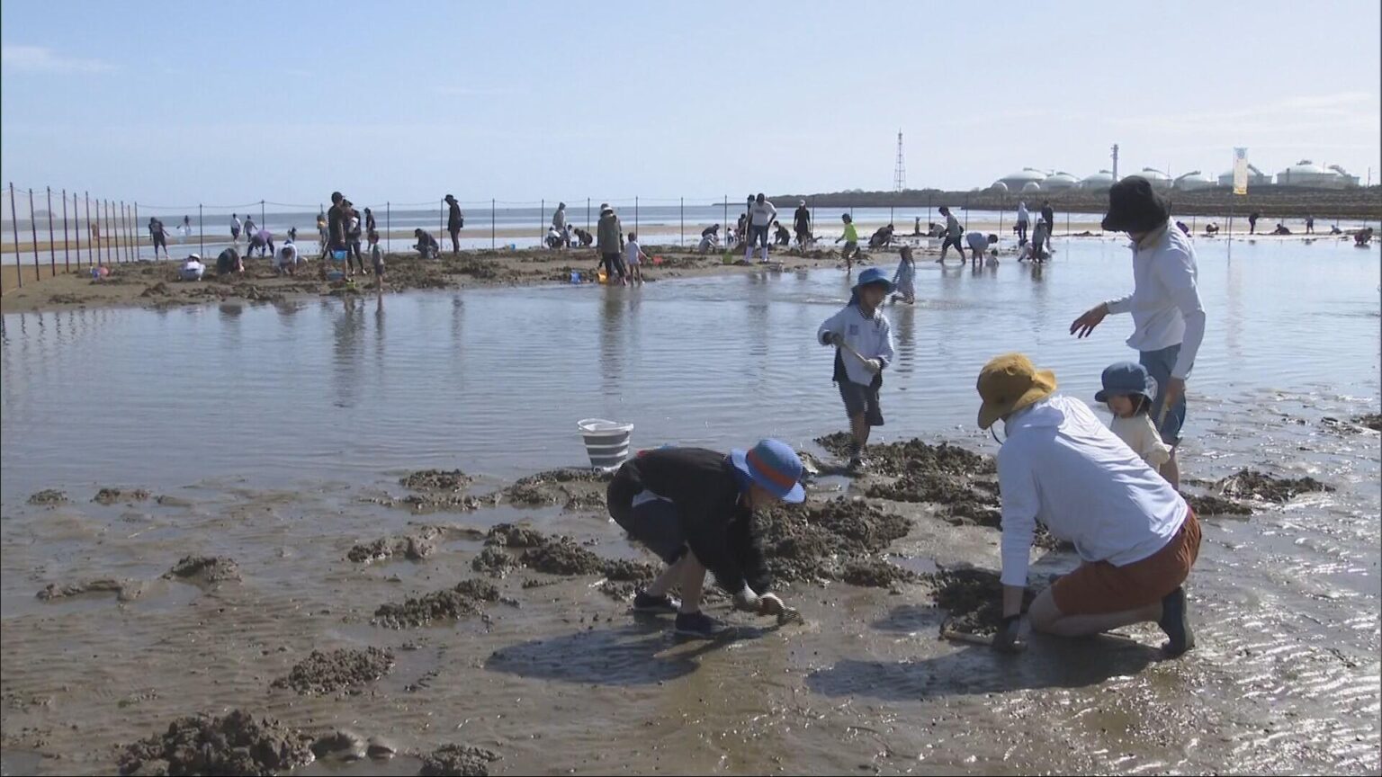 姫路白浜潮干狩り場 初日から家族連れでにぎわう／兵庫県（サンテレビ） - Yahoo!ニュース