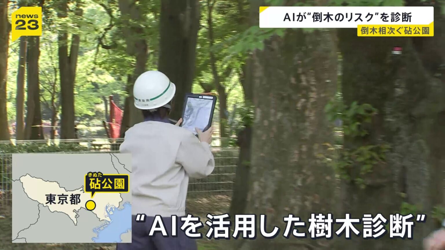 倒木相次ぎけが人も…東京・砧公園で5000本の樹木を緊急点検　試験的にAI活用「作業の効率化やスピードアップに」（TBS NEWS DIG Powered by JNN）