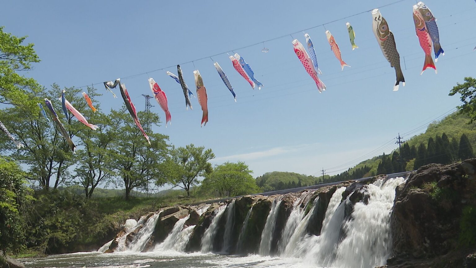 景勝地・十二ヶ滝に鯉のぼり 石川・小松市 住民有志が30年以上前から（MRO北陸放送） - Yahoo!ニュース