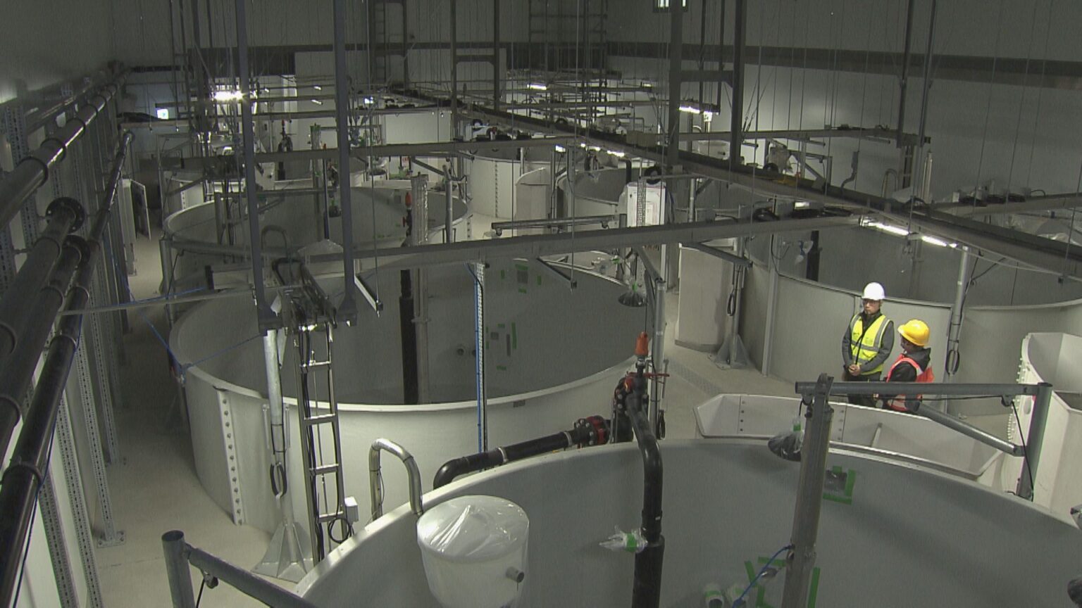 輸入サーモンより安く!? “世界最大級”の陸上養殖施設 ふ化から加工まで全てを三重・津市で 2027年末までに完成目指す（CBCテレビ） - Yahoo!ニュース