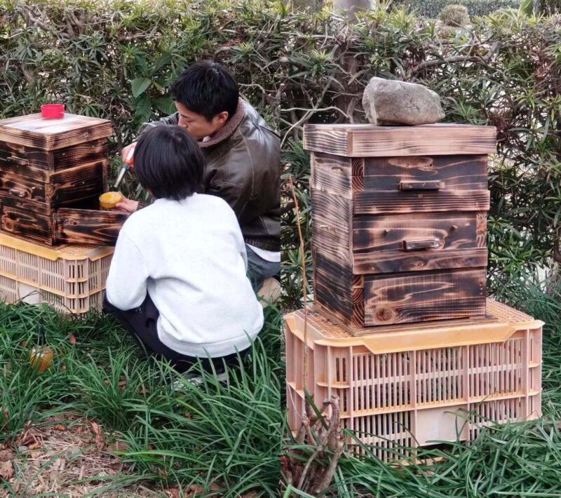 安養山 西楽寺 ／静岡県袋井市で『寺子屋・フリースクール・寺婚など』始動！ - 無料プレスリリース「PR-FREE」