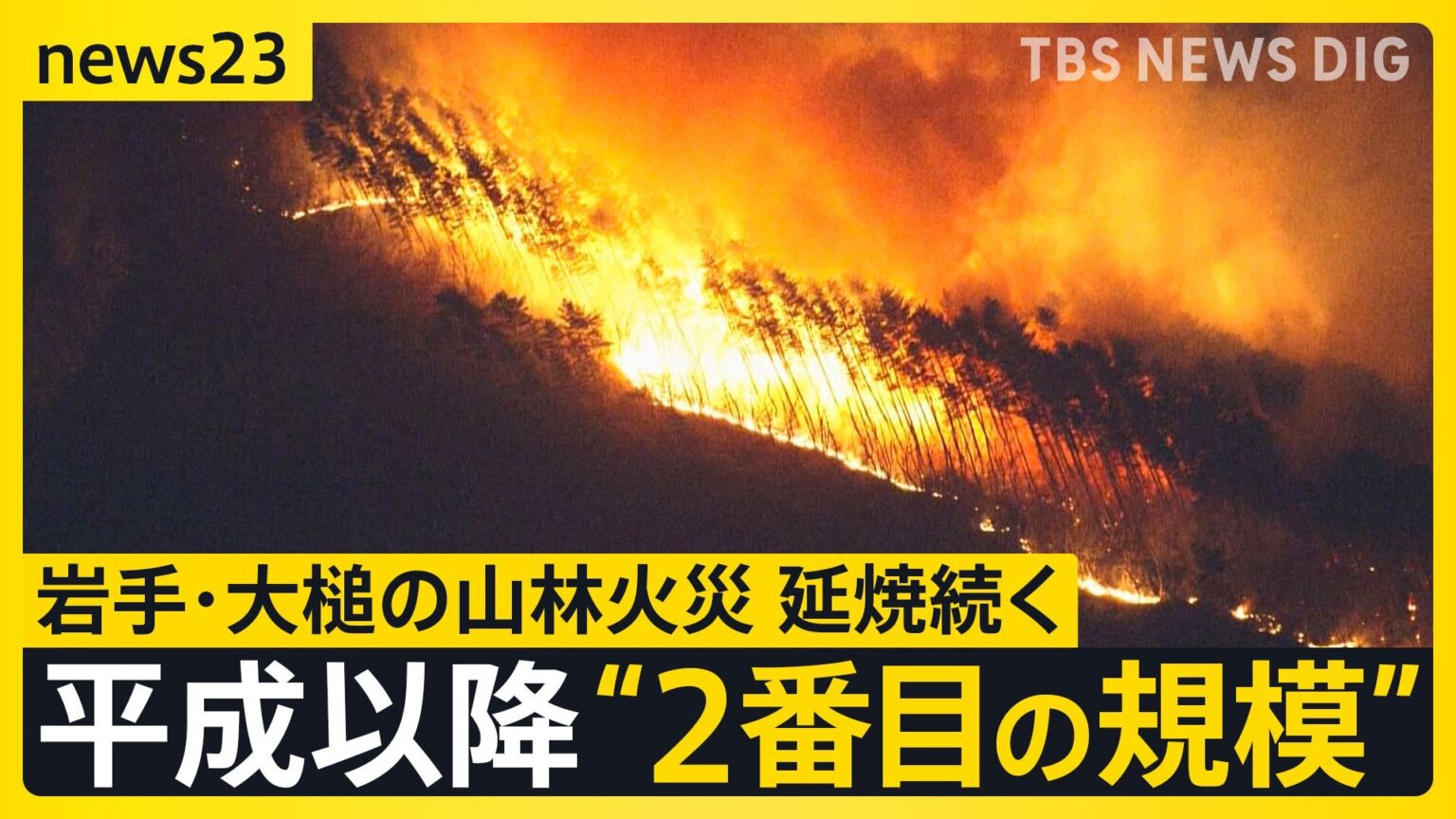 「全然寝られない」岩手・大槌の山林火災　延焼続き平成以降“2番目の規模”に　牛舎が燃えた畜産家は牛残せぬ苦悩も【news23】（TBS NEWS DIG Powered by JNN）