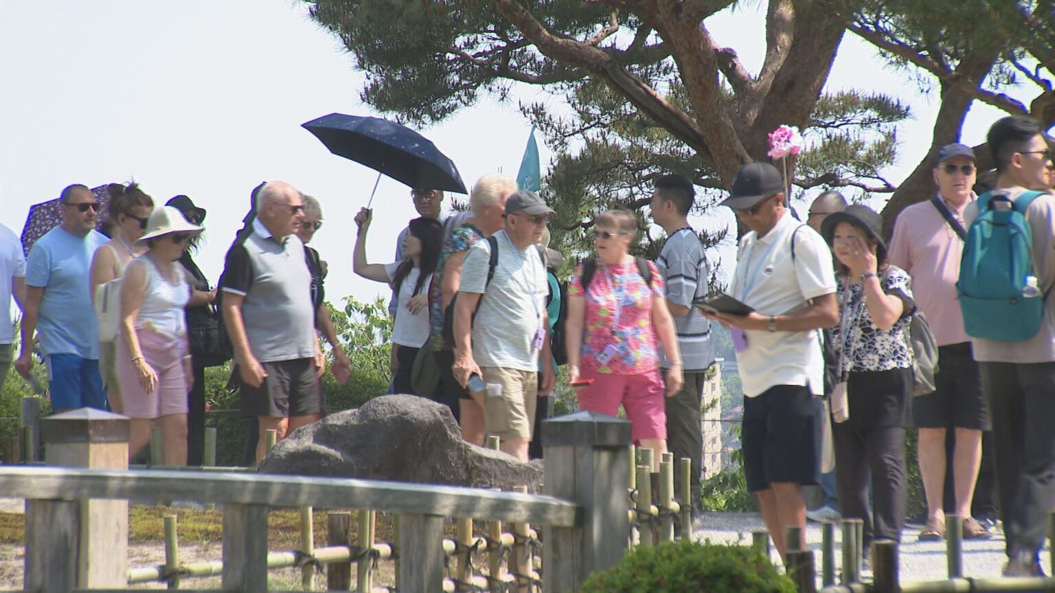 220万2200人の外国人旅行者・2025年の宿泊数 「東京・大阪周遊の立ち寄り先」欧州が全体の23.7％ 「ナイトマーケットの食べ歩き」に期待（MRO北陸放送） - Yahoo!ニュース