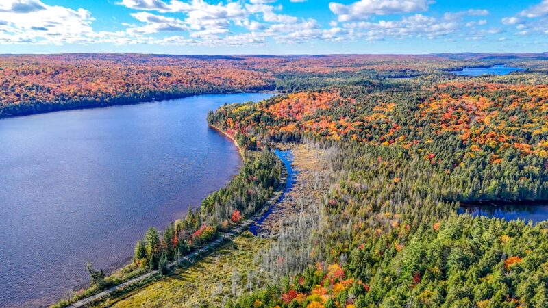 たびチョク ／■湖に映るカナダの紅葉を歩く。トロント発・アルゴンキン州立公園絶景ツアー - 無料プレスリリース「PR-FREE」