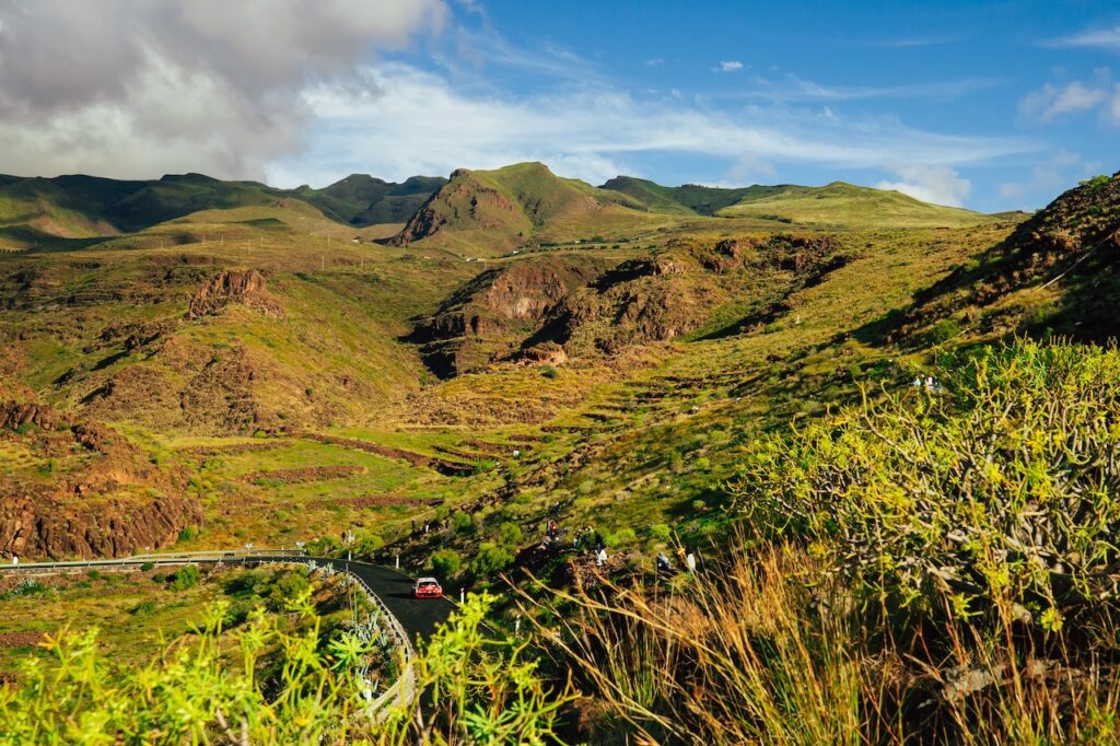 【最終結果】2026年WRC第5戦ラリー・イスラス・カナリアス パワーステージ後