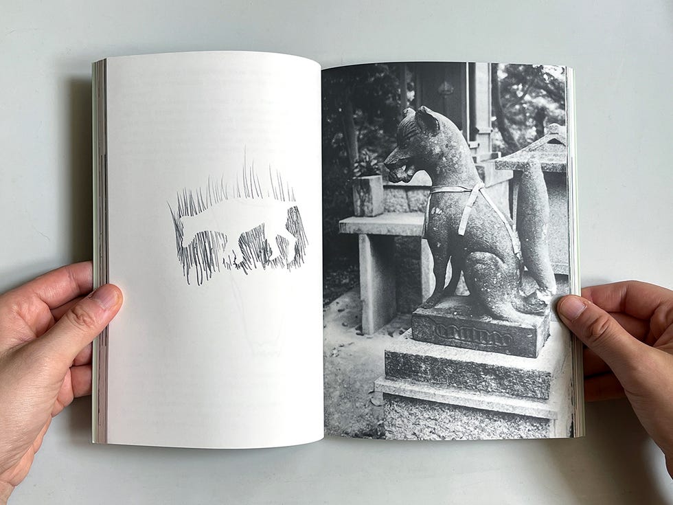 jimmie durham『stone heart』