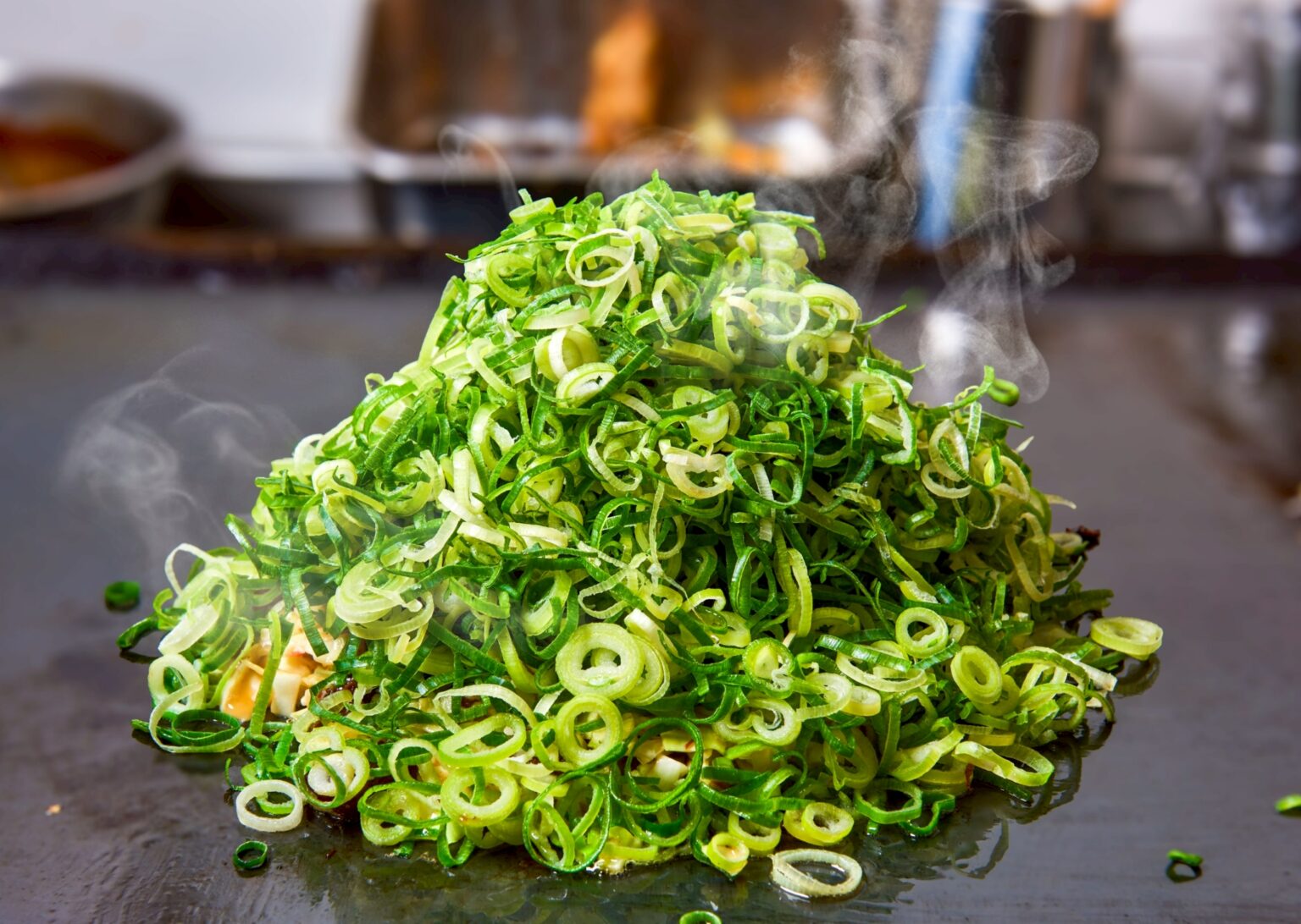 “ねぎ盛りすぎ”な名物のねぎ焼き