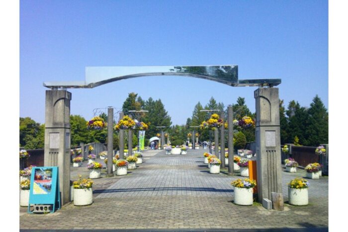 緑のウォークラリー