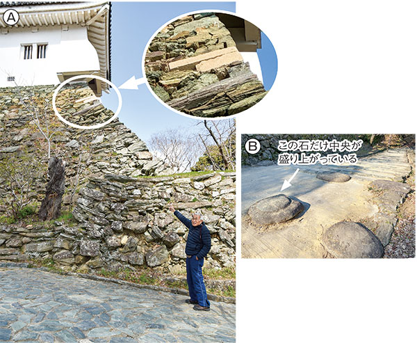 石積みや絵図から変遷探る | ニュース和歌山