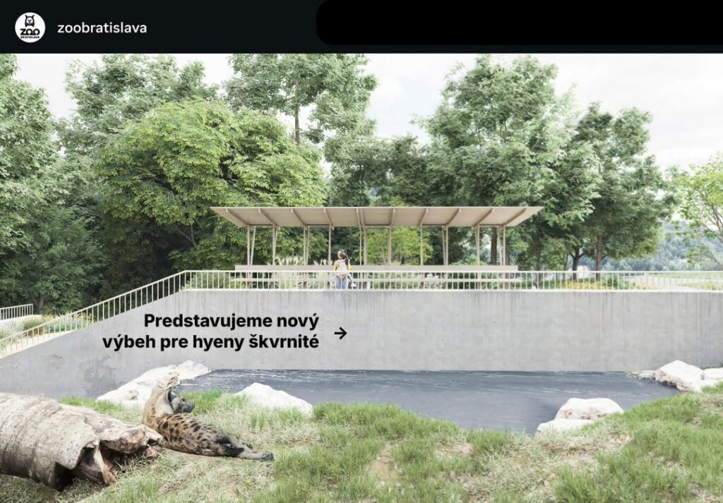 ブラチスラバ動物園のブチハイエナ。