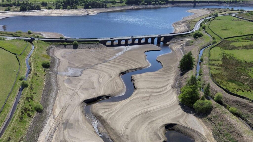 昨年英国政府によって300万本の木が植えられました…すでに80万本が枯れています