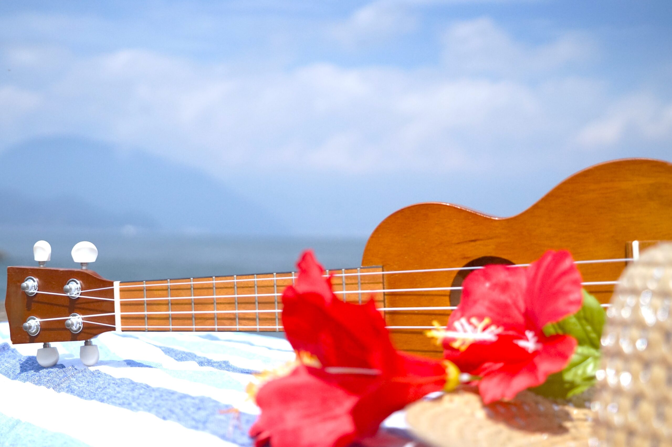 第15回 ハッピーウクレレ倶楽部 鳥取・姫路交流会