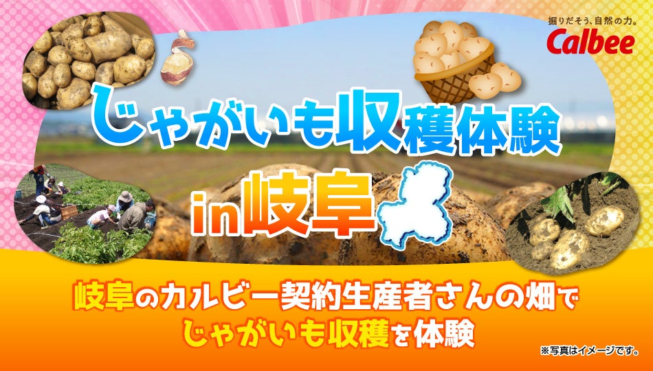 3年連続！岐阜県の契約生産者の畑でファンミ－ティングを開催Calbee『Fan With! Project』～じゃがいも収穫体験 in 岐阜～