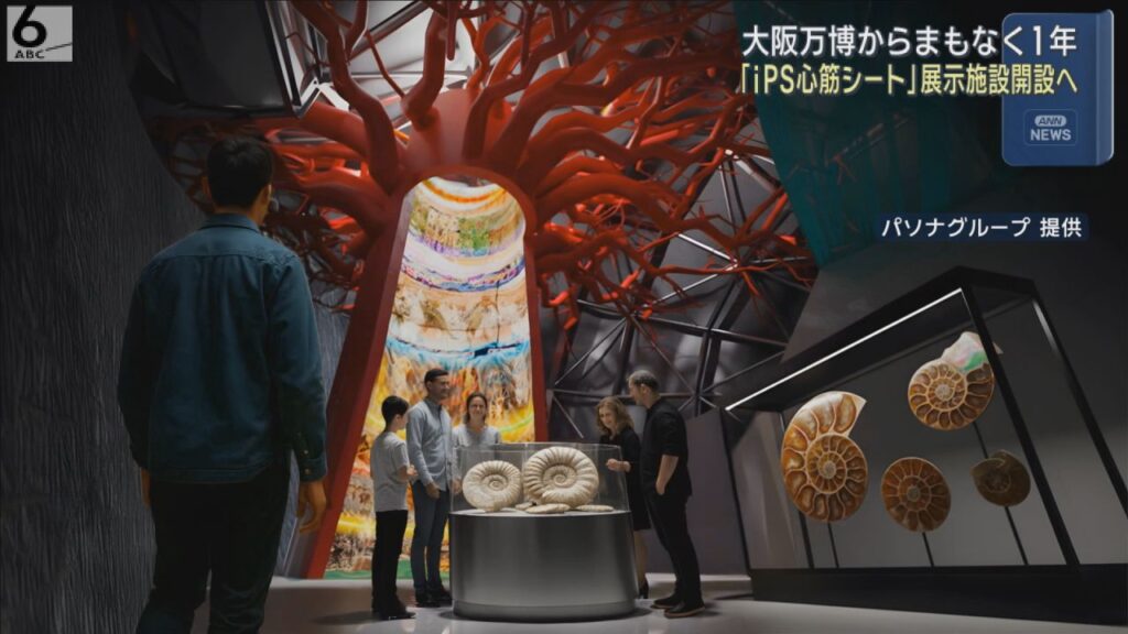 万博の「iPS心筋シート」などを展示する施設、淡路島に開設へ 今秋にオープン予定 万博の「iPS心筋シート」などを展示する施設、淡路島に開設へ 今秋にオープン予定