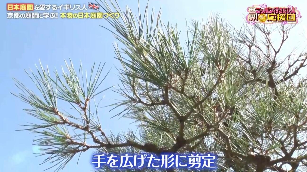 本物の日本庭園づくりに挑戦！イギリス男性が京都の庭師に職人技を学ぶ：世界！ニッポン行きたい人応援団