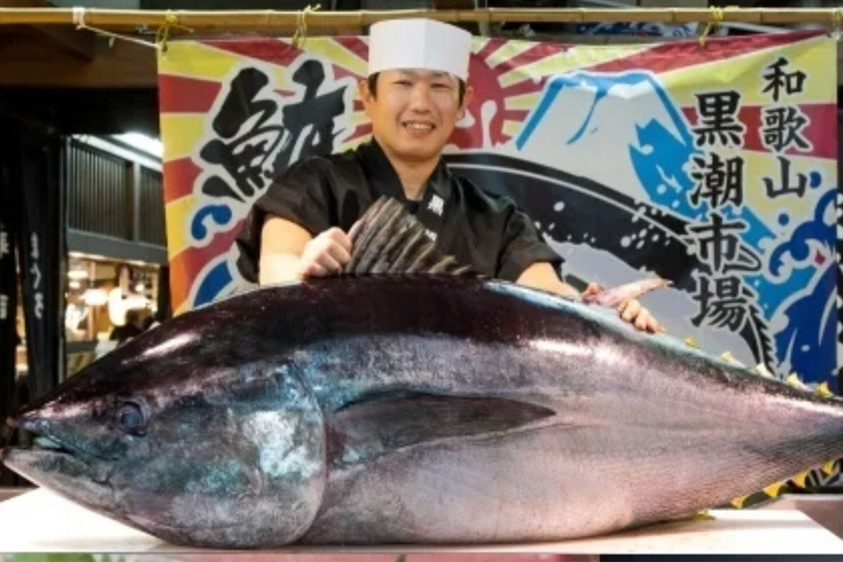 その大きさにびっくり、黒潮市場名物の『まぐろの解体ショー』（和歌山県和歌山市）