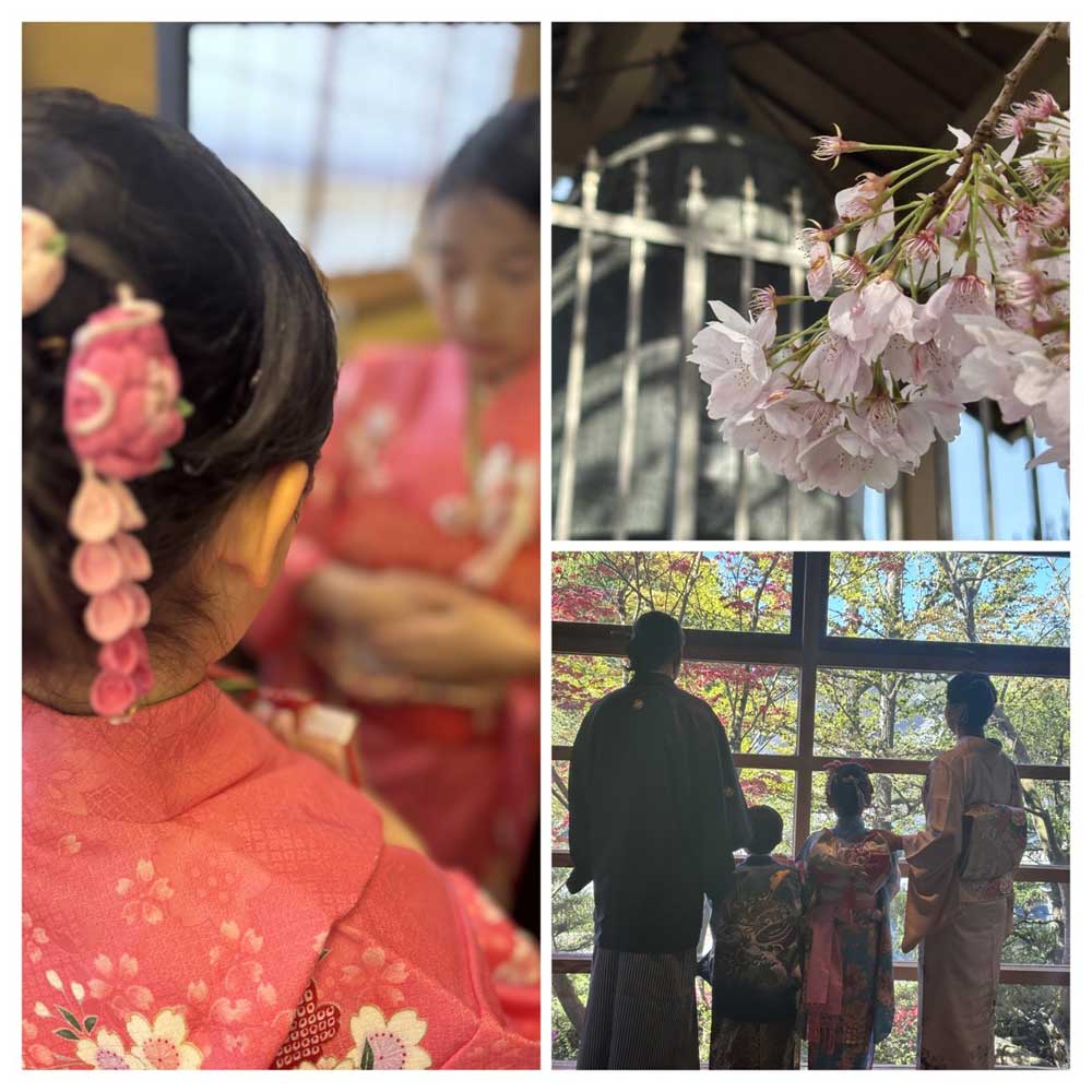 「春の桜の下、着物で七五三のお祝い」BY　コナともこ