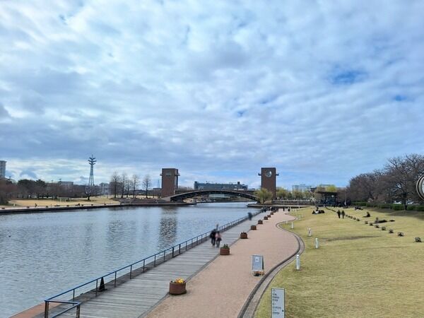 トヤマナイトキャンバス6