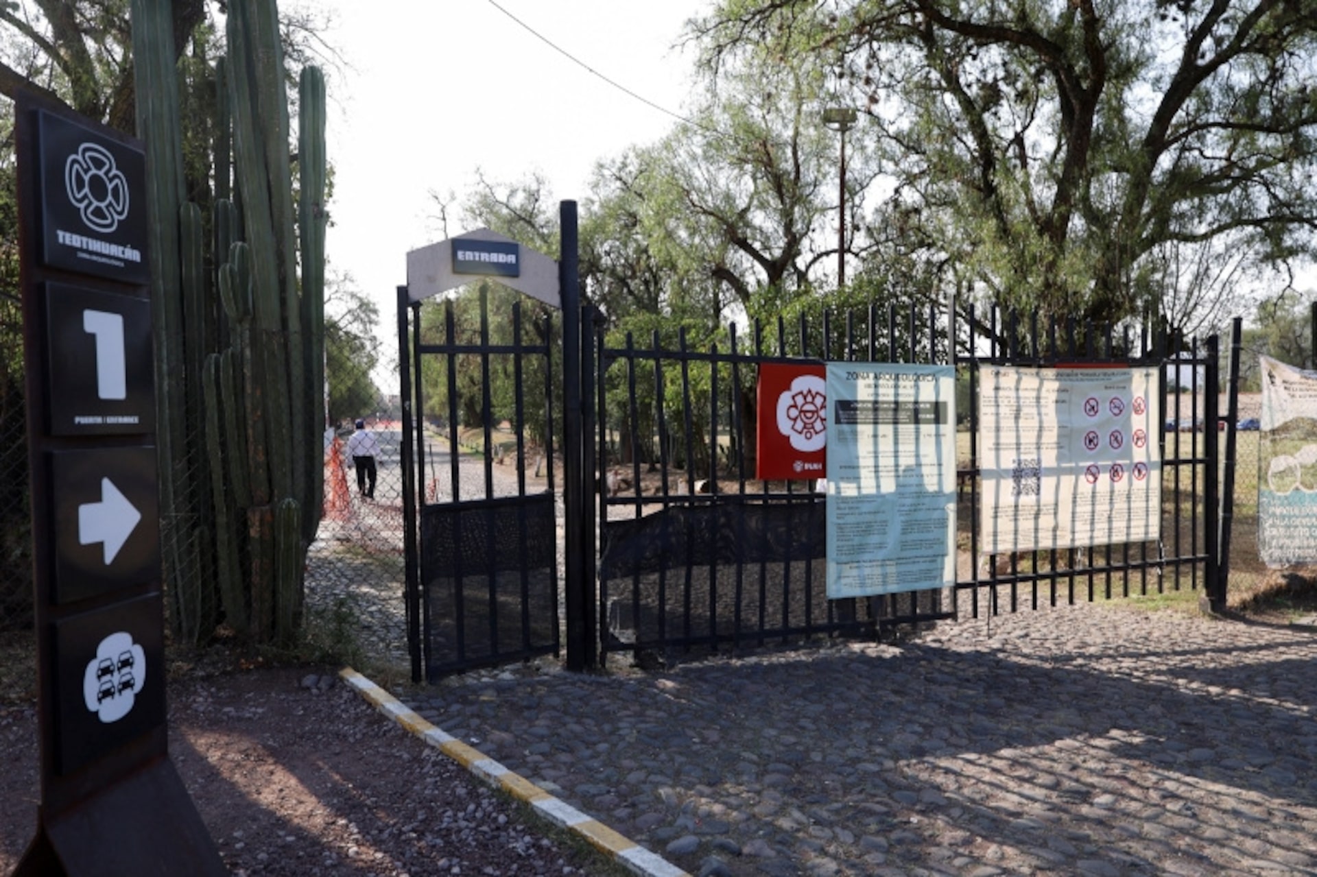 メキシコ観光地の銃乱射で1人死亡、サッカーＷ杯に懸念